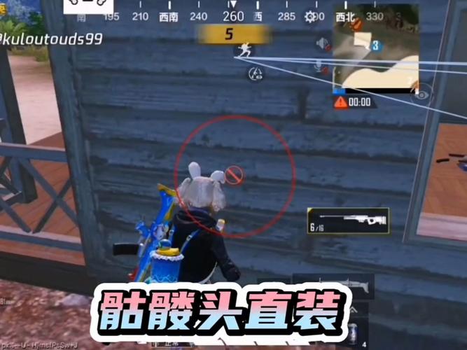 和平精英骷髅头直装永久免费版
