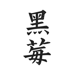 黑莓小说最新免费官方版