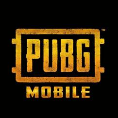 pubg轻体直装辅助电子版