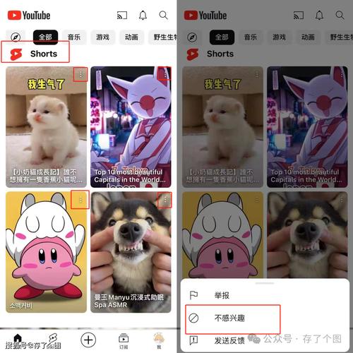 youtube安卓app
