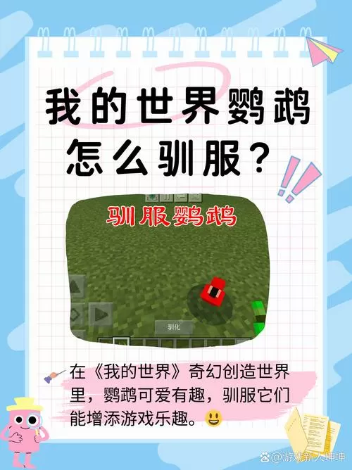 我的世界小鸟怎么驯服