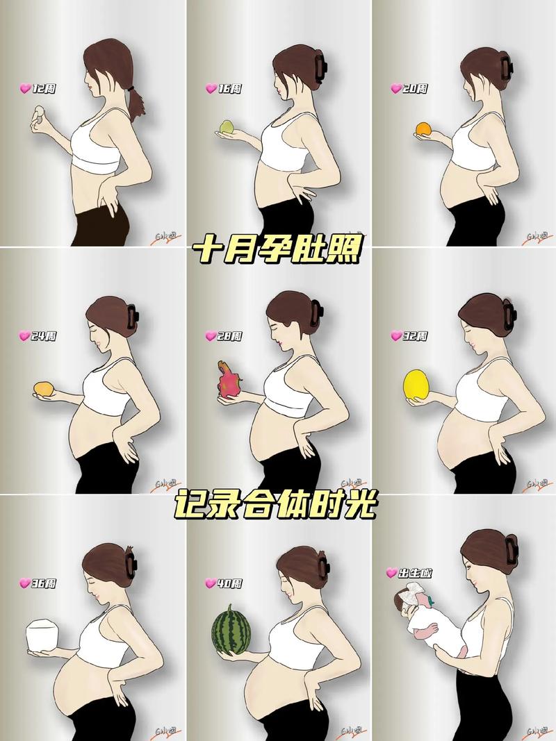怀孕的人的肚子变化图片大全视频