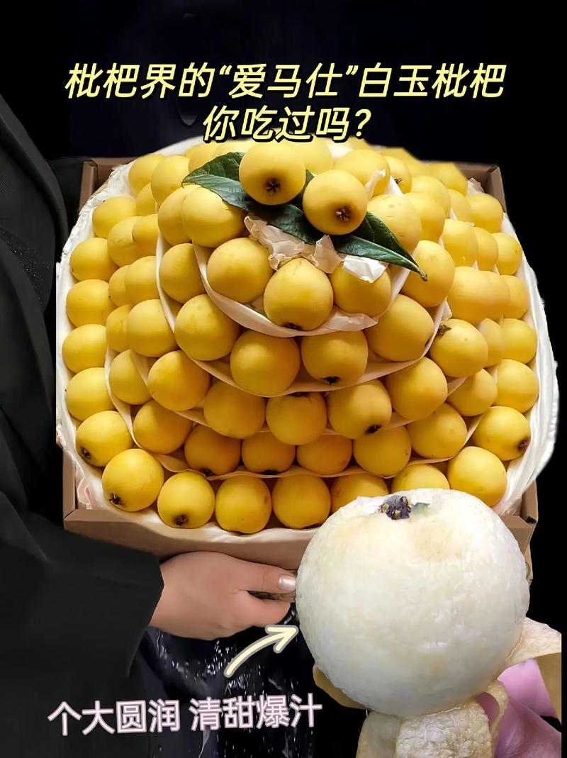 枇杷影视