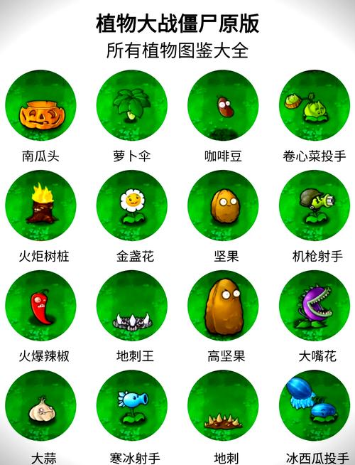 植物大战僵尸f7版手机安装