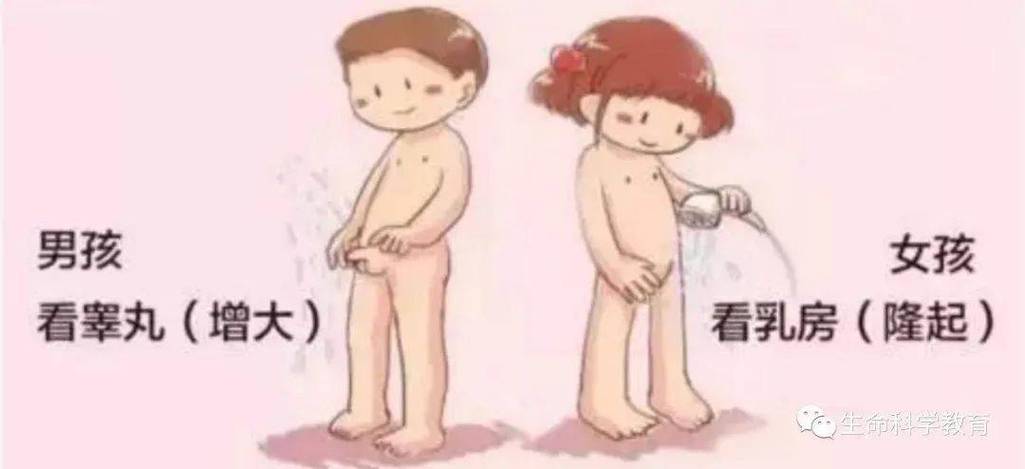 男生果女生小小鸡鸡软件
