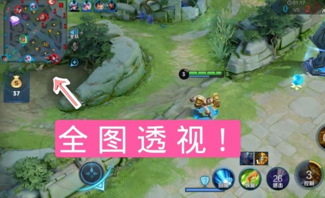 王者全图透视挂