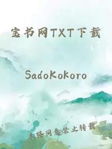 宝书网手机TXT