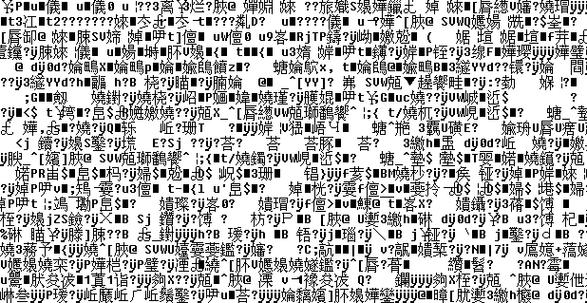Ntleas日文游戏乱码转换工具 
