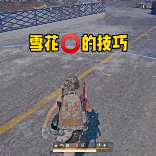 和平精英雪花内核免费正版