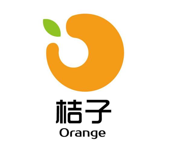 桔子打字录入平台正版