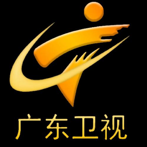 全国电视台卫视频道安装无限能量
