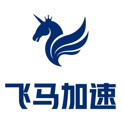 飞马NPV加速器白色版无删减