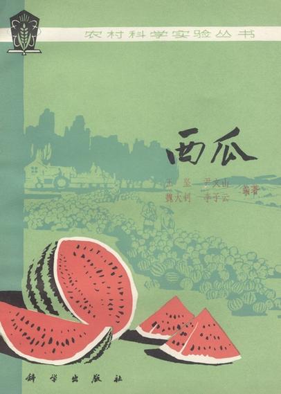 西瓜书 pdf