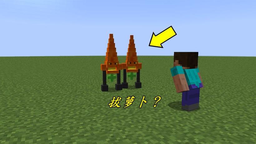 我的世界拔萝卜动画视频