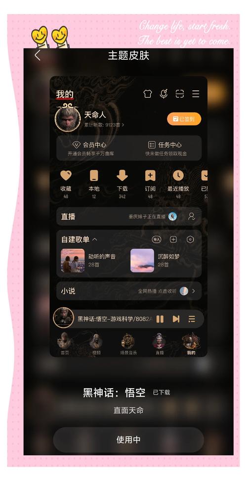 主题皮肤透明app安装最新版本更新内容黑色版免墙版