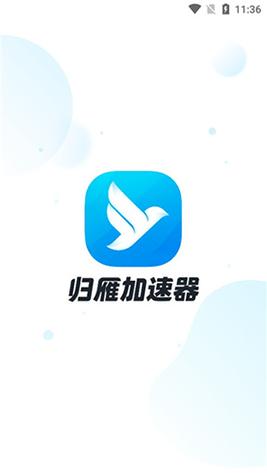 归雁加速器免费版