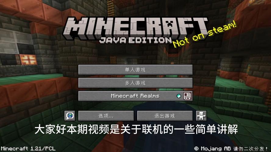 我的世界联机侠官网