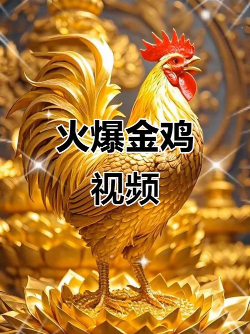 金鸡视频app官网企业版手机
