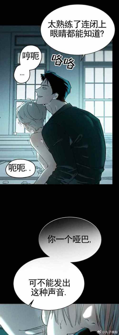 ss漫画安卓版最新tv版