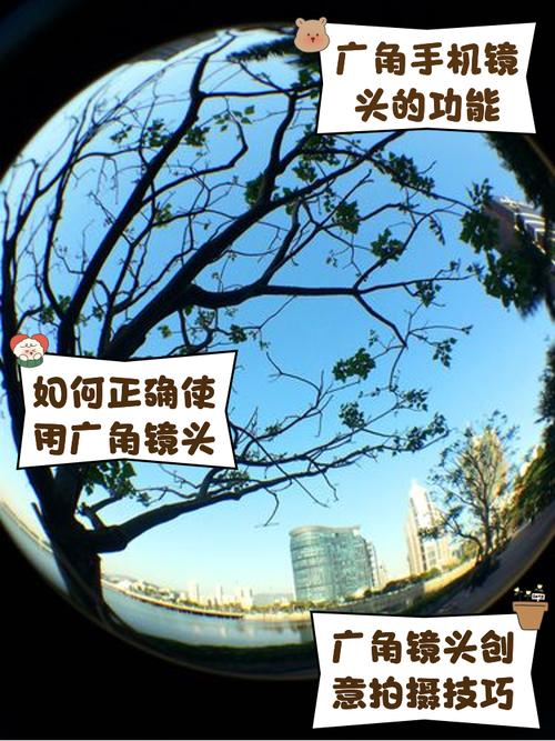 120帧手机视角画质广角手机版