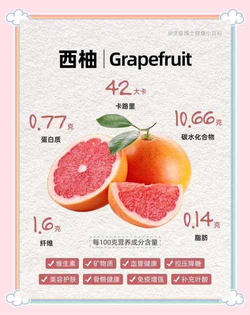 西柚短视频-西柚短视频红包最新版