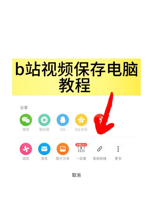 2024年电脑版波波视频pc端怎么