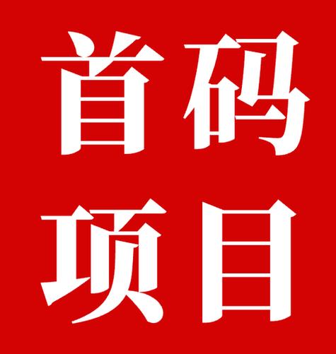 最新首码0投资项目看书版