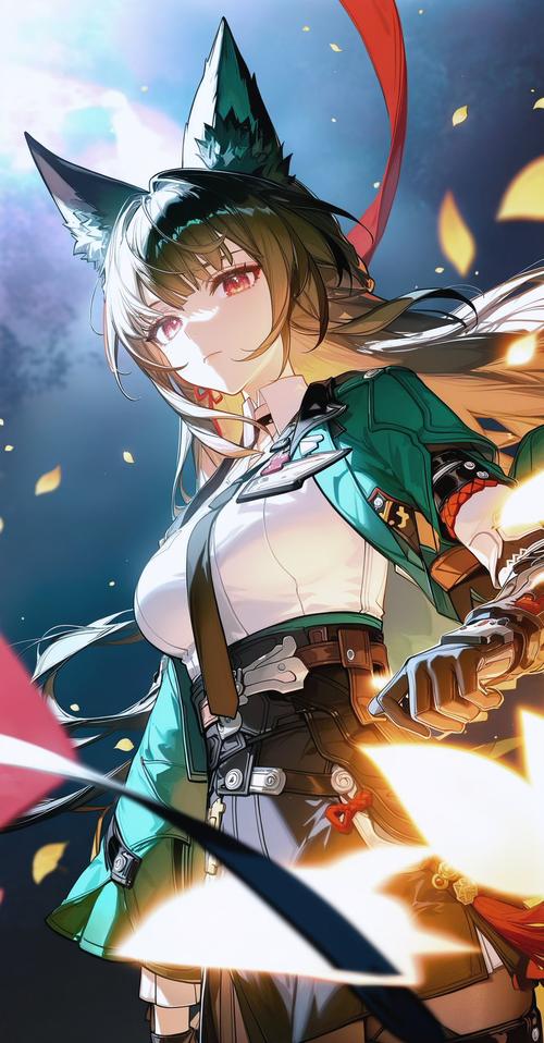 acfan动漫手机版
