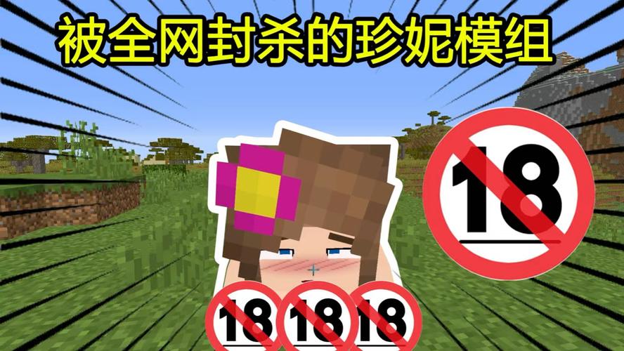 珍妮模组直装版经典版无广告