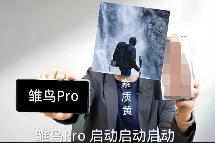 小雏鸟pro软件