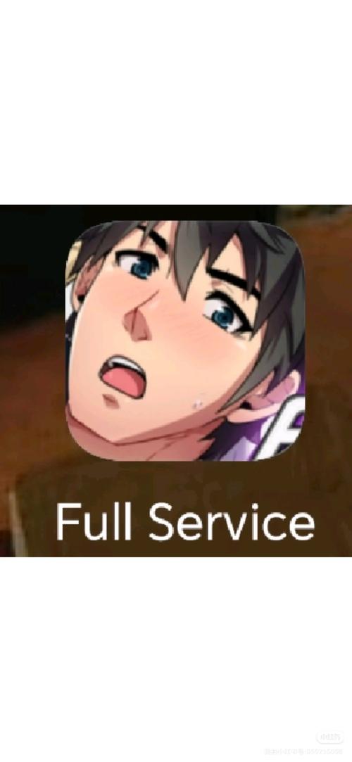 fullservice汉化版手机版
