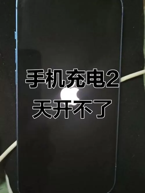 手机充电几秒就不充了