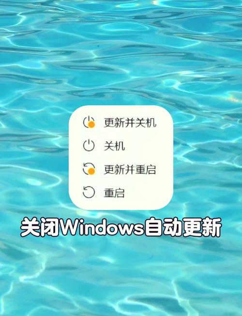 windows10聚焦不更新无限刷邀请版