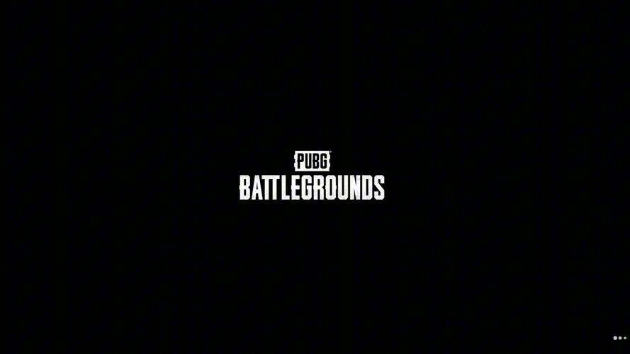 pubg轻体北辞直装光环加速版