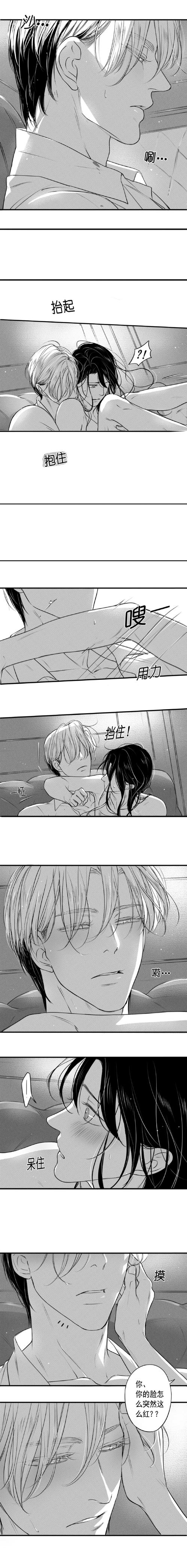 circle完整版漫画免费第一季
