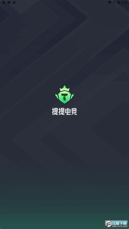 提提电竞赚钱版