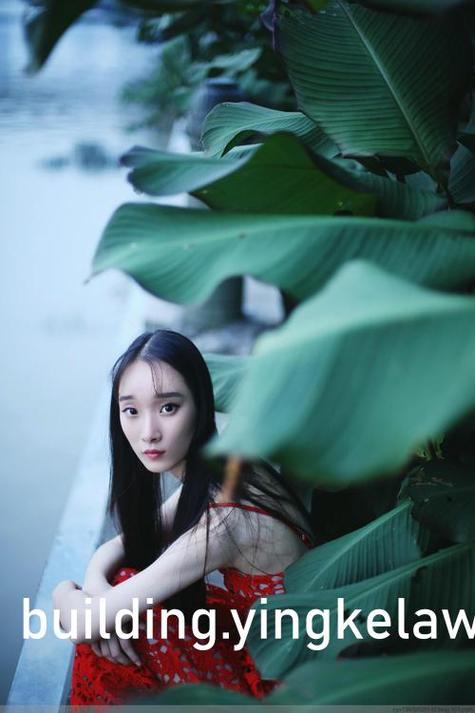 木叶培训师汉化版中文最新版