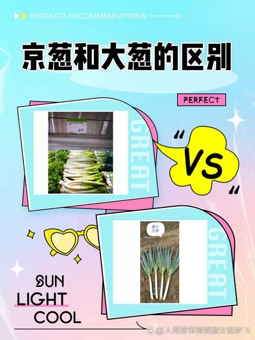 京葱和大葱有区别吗