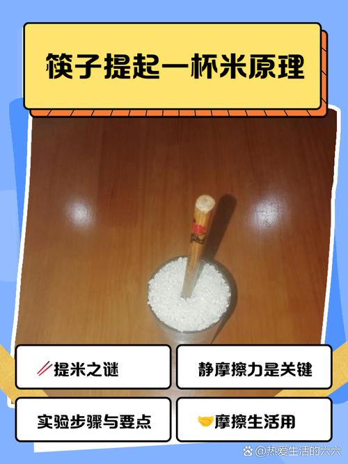 筷子提米实验步骤
