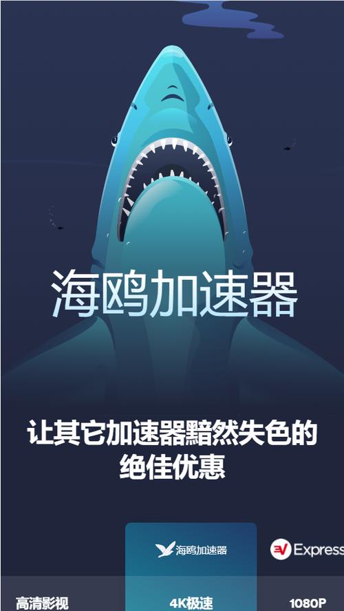 SEAGULL海鸥加速器海鸥加速器破解版永久免费
