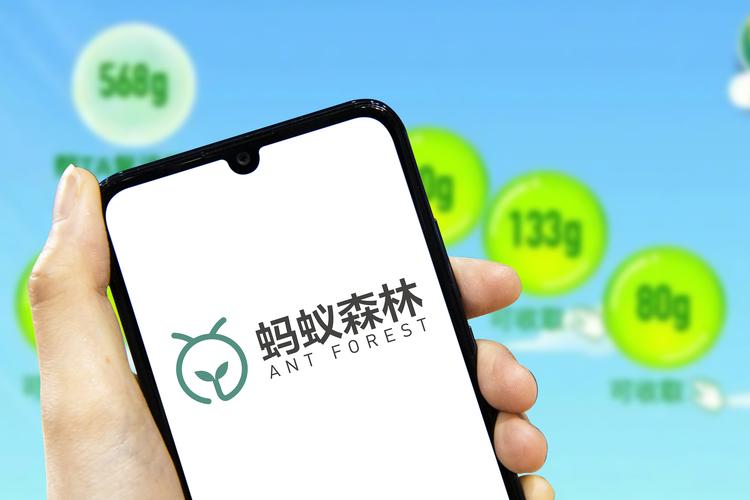2025蚂蚁森林最新消息加速永久 2025蚂蚁森林最新消息加速永久