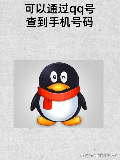 隐box查QQ绑定手机号彩色版