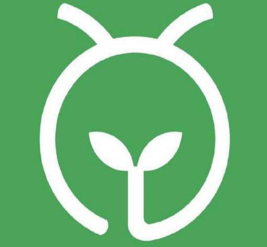 蚂蚁森林ECH环