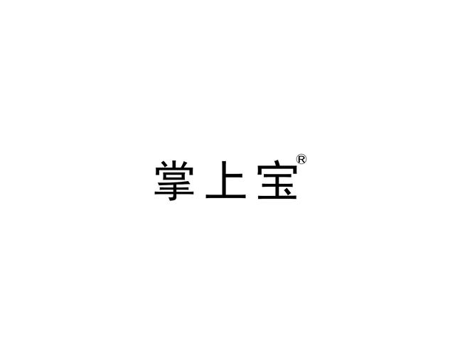 掌上宝官方版