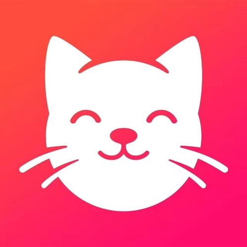 养猫联盟红包赚钱