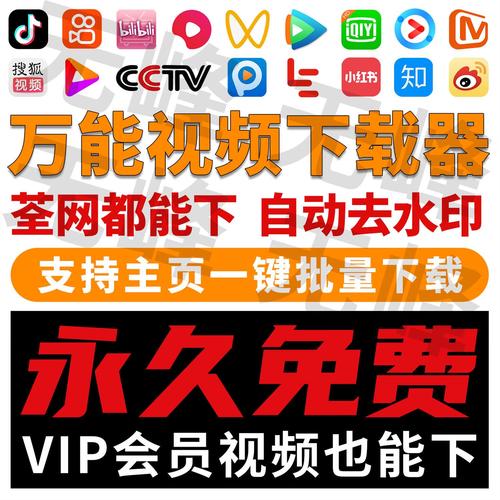 随时短视频最新版