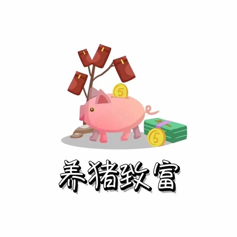 大家来养猪手赚