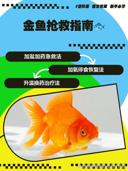 金鱼如何杀体内寄生虫