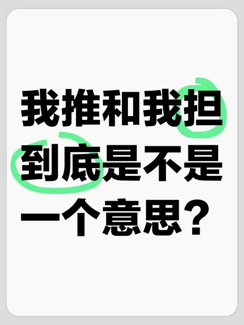 我推是什么意思